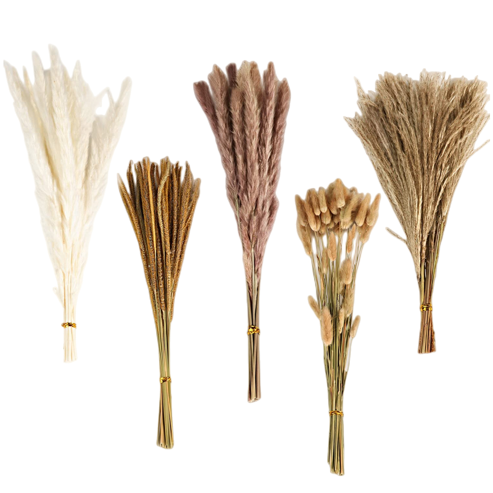 Pampas Grass Decor - Buquê de Flores Secas Mistas Vintage