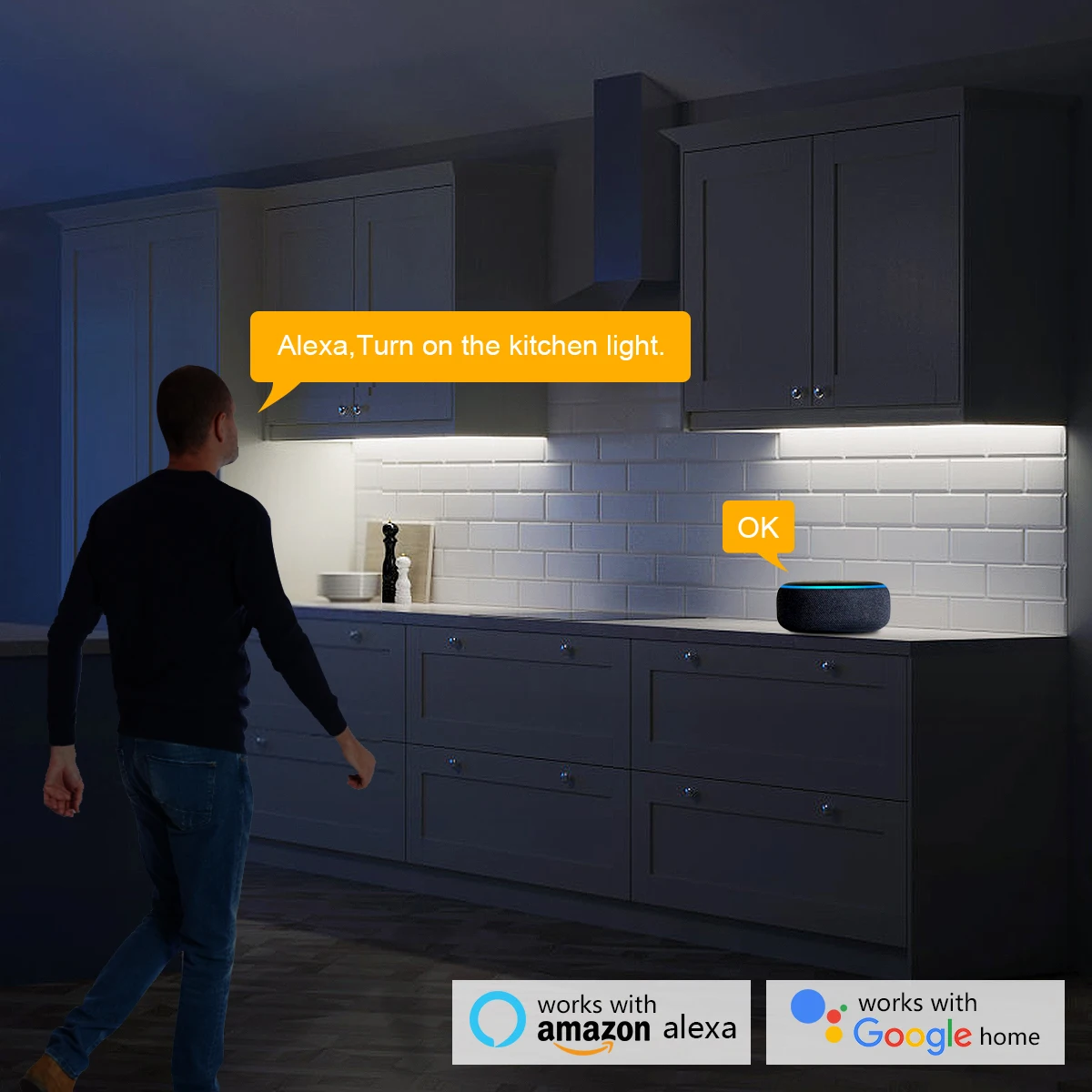 Luz LED Inteligente Zigbee Tuy - Home Decor Free App avaliação e preço