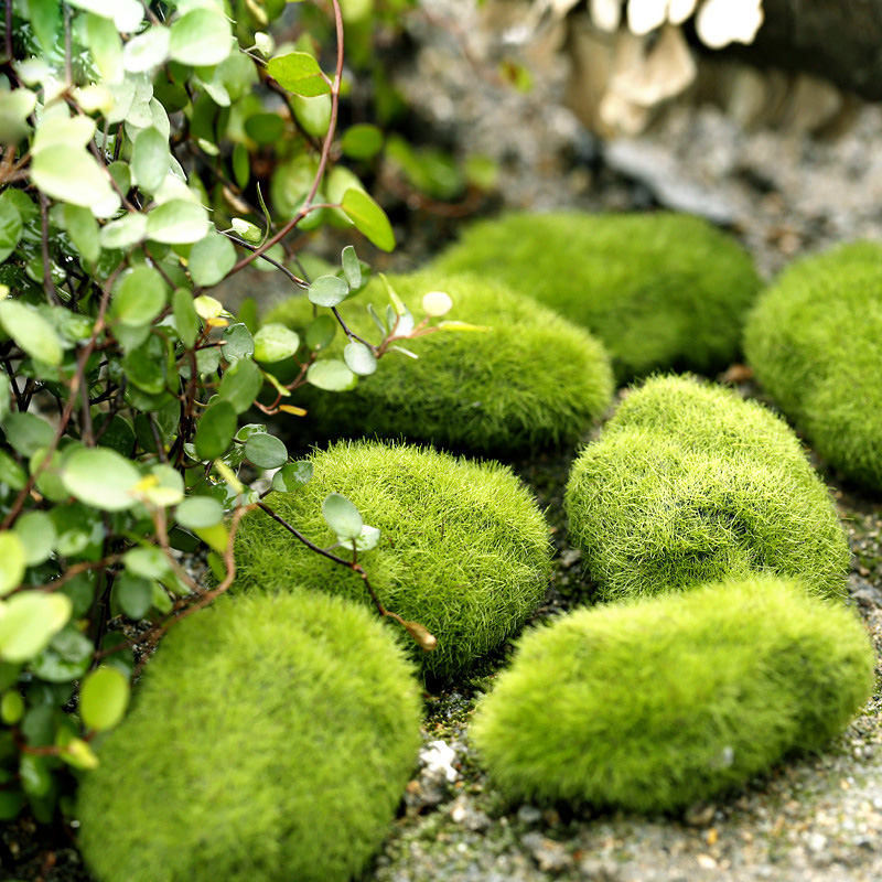 Verde grama artificial espuma  - Home Decor Za avaliação e preço