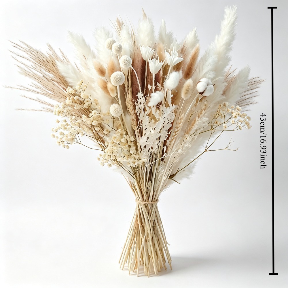 Buquê de Capim-dos-Pampas Seco - Pampas Grass Decor avaliação e preço