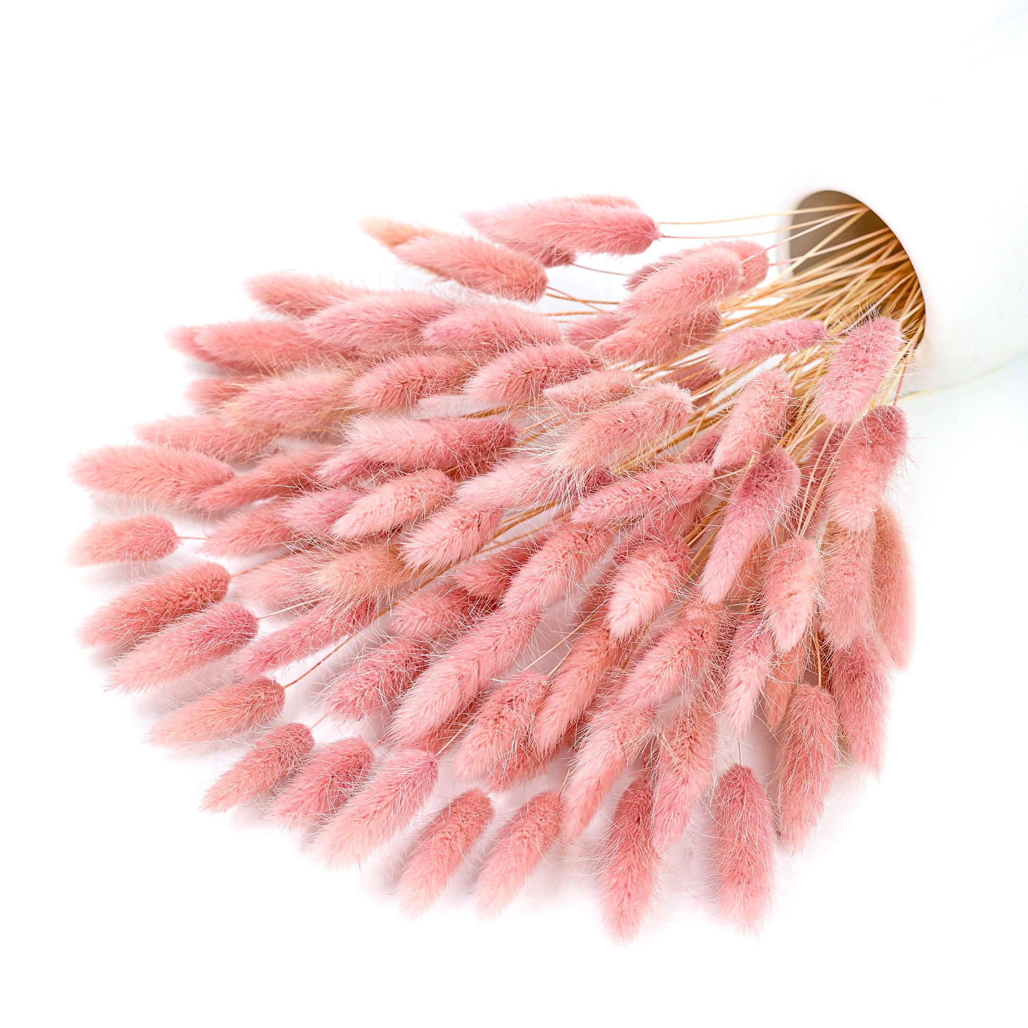 120 haste rosa seca pampas coe - Pampas Grass Decor avaliação e preço