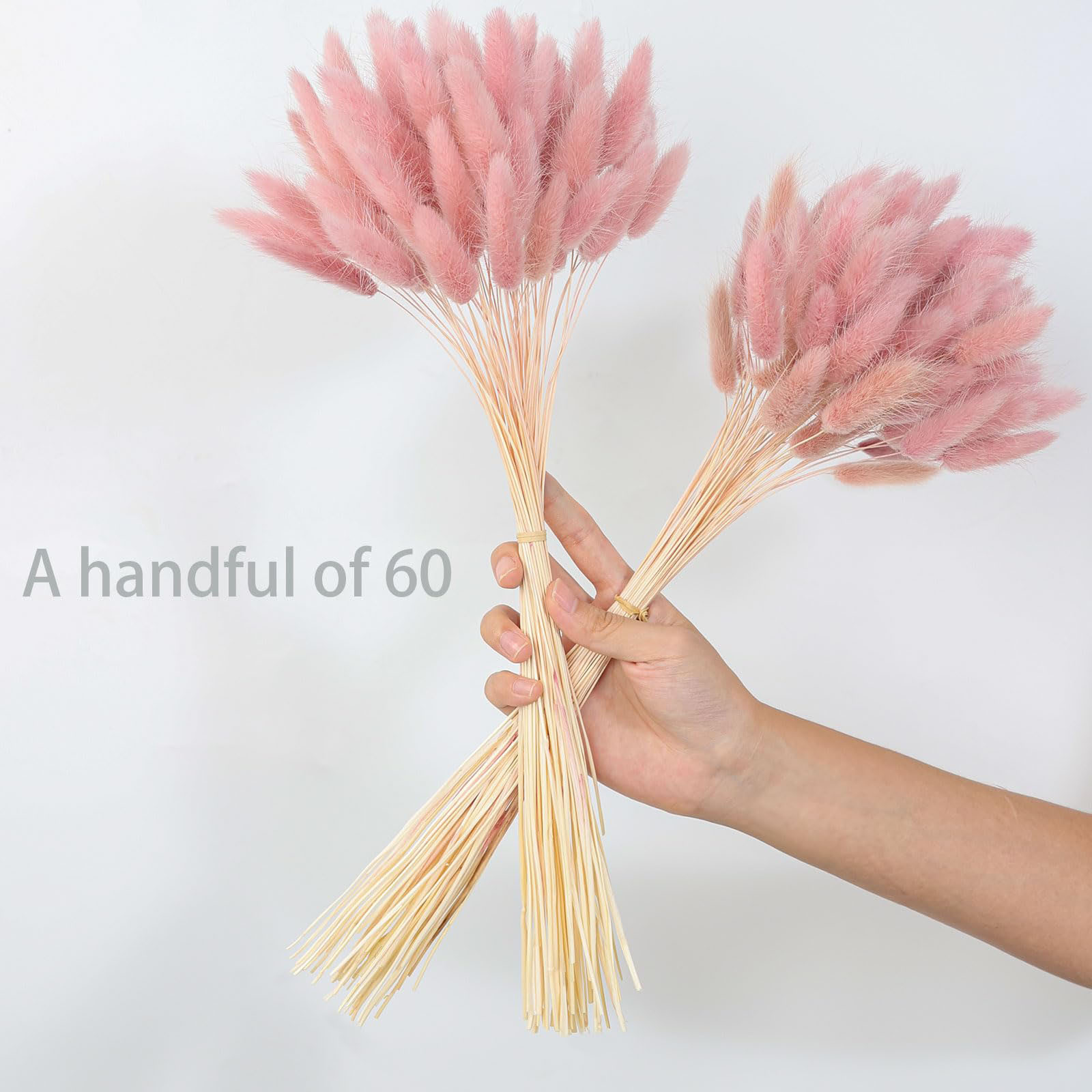 120 haste rosa seca pampas coe - Pampas Grass Decor avaliação e preço