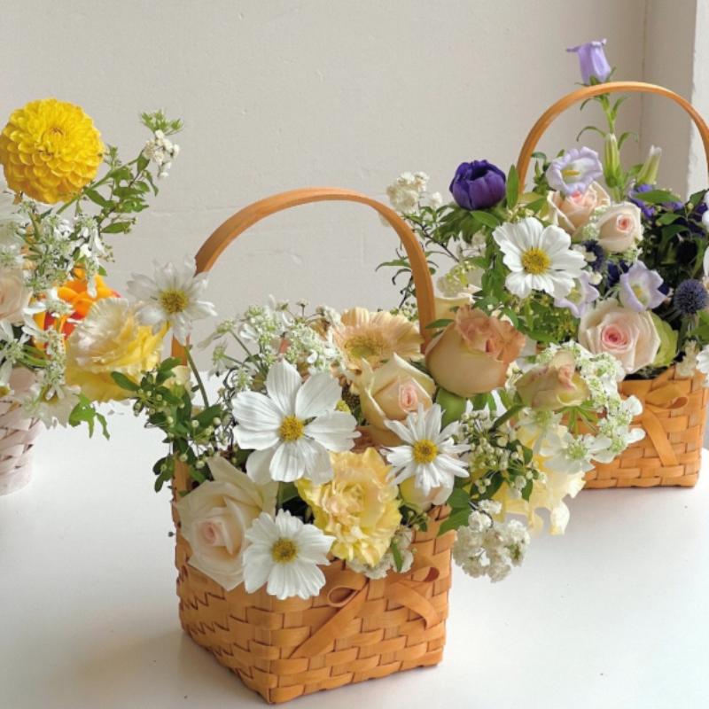 Nova Cesta de Vime de Salgueir - Rattan Plant Basket avaliação e preço