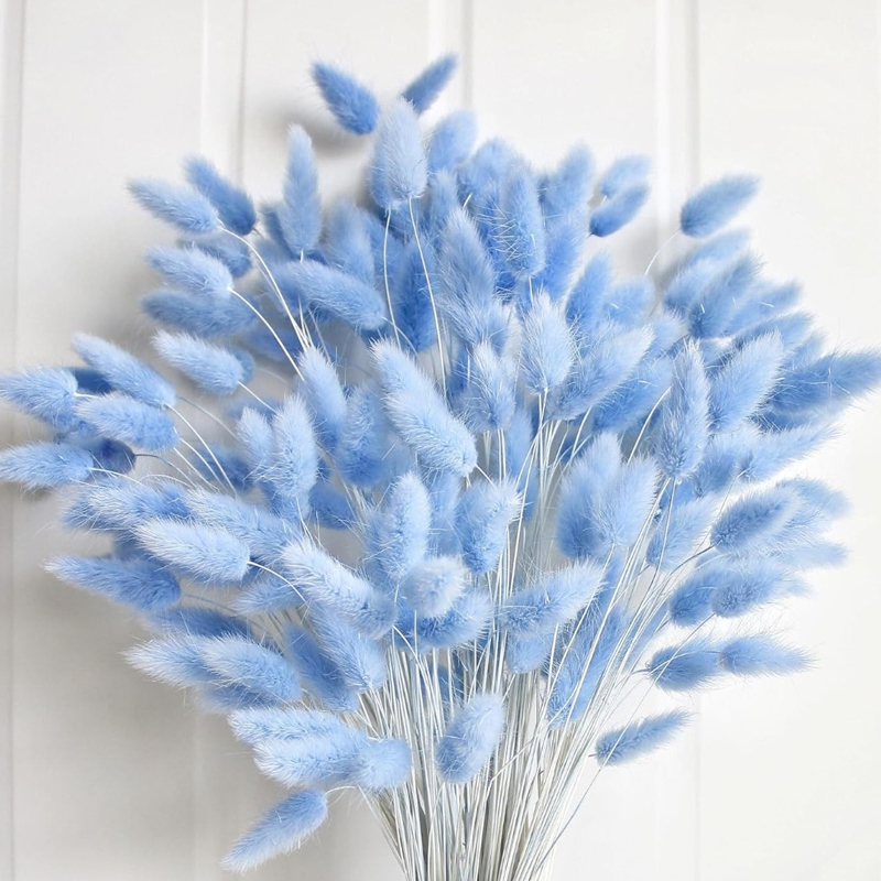 100 pçs azul lebre-cauda grama - Pampas Grass Decor avaliação e preço