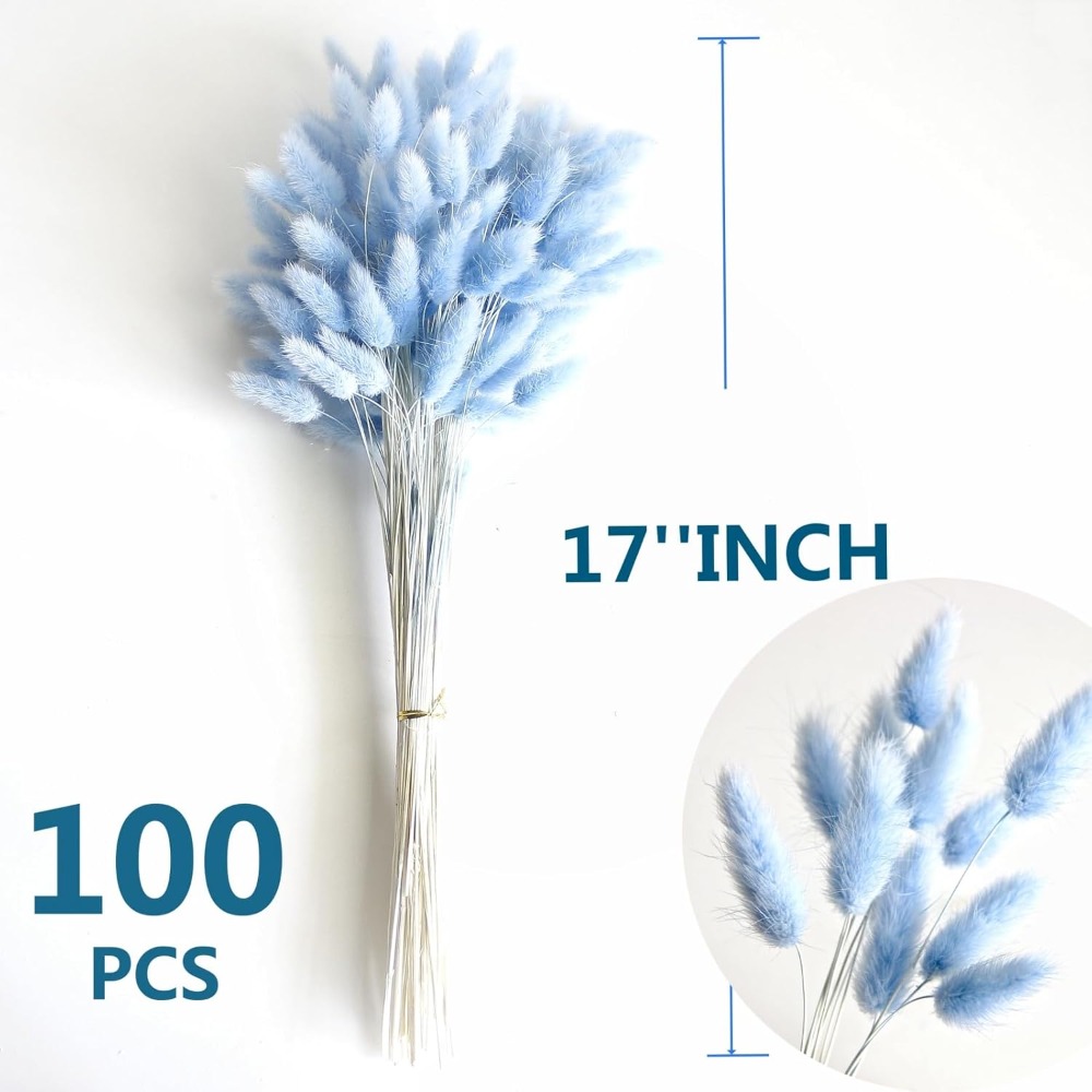 100 pçs azul lebre-cauda grama - Pampas Grass Decor avaliação e preço