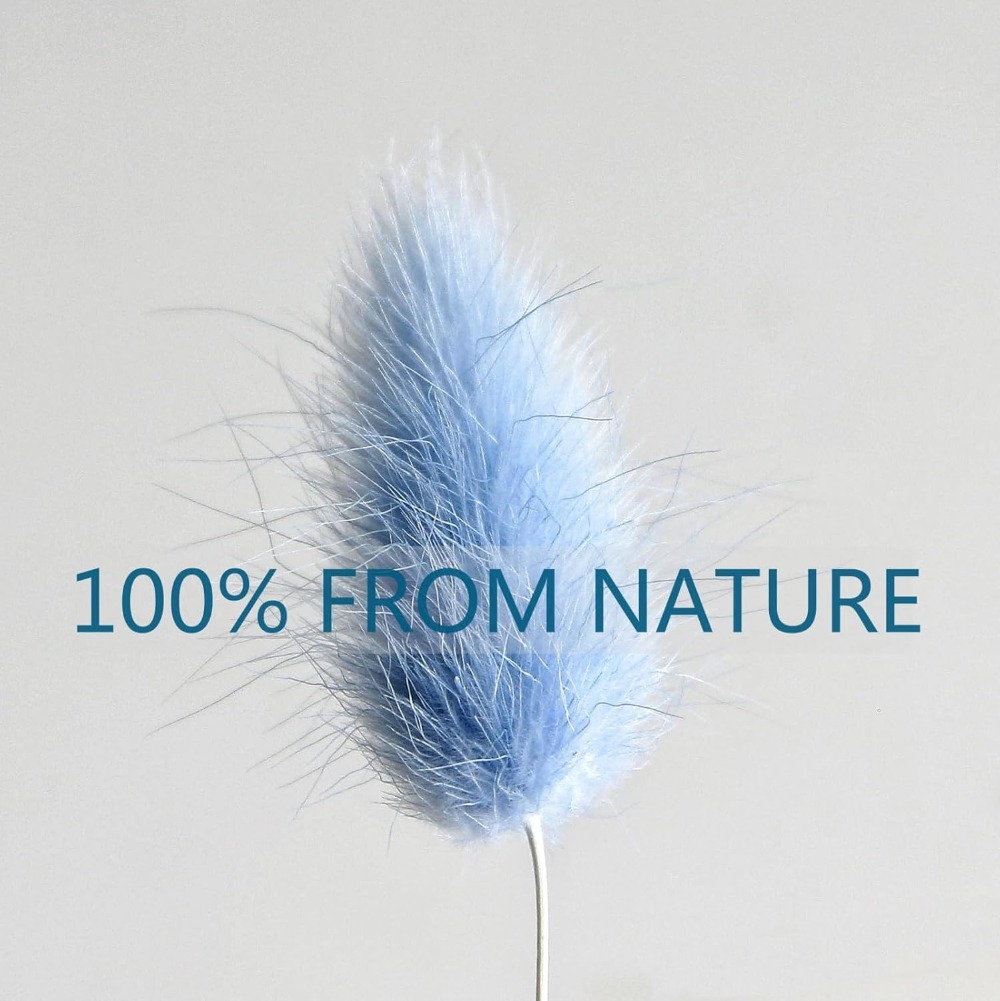 100 pçs azul lebre-cauda grama - Pampas Grass Decor avaliação e preço