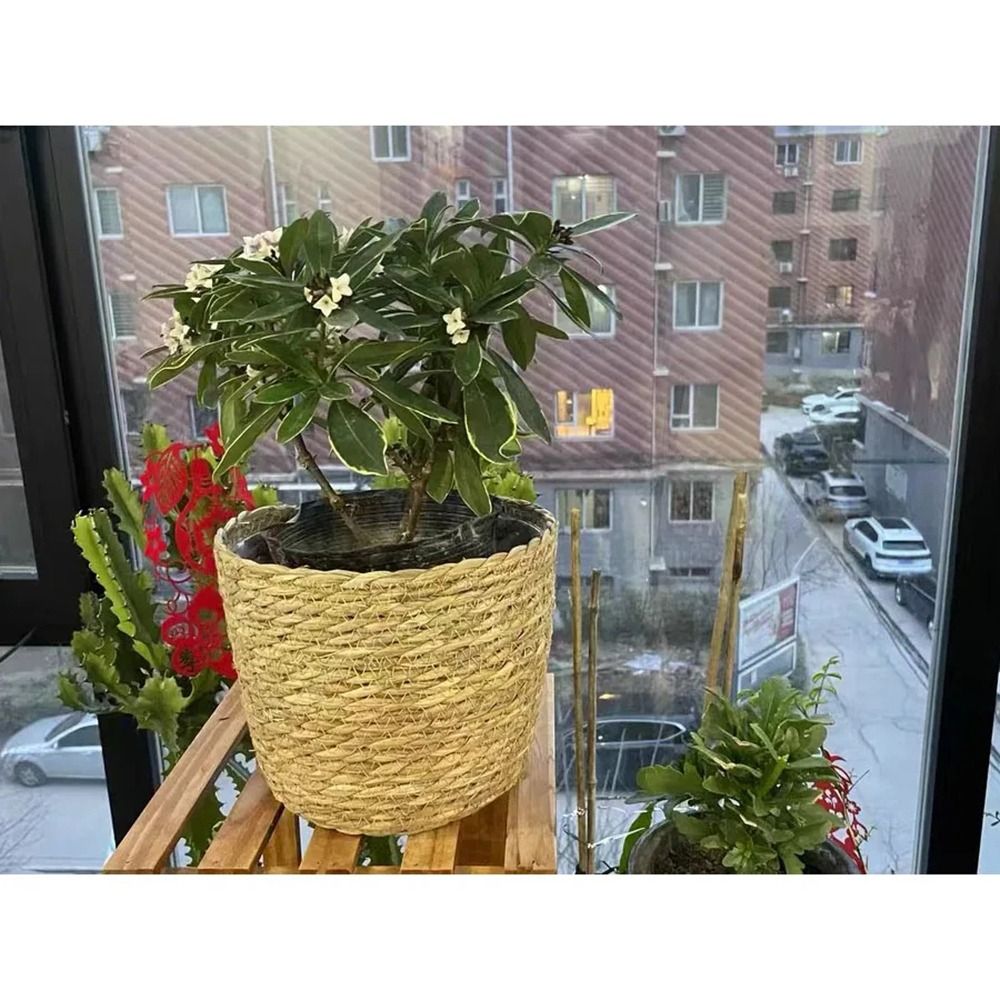 1 pçs para terraços de jardim  - Rattan Plant Basket avaliação e preço