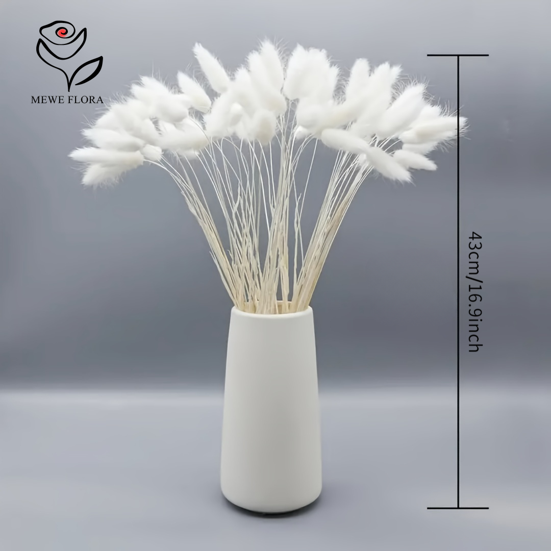 150 pçs branco natural fofo co - Pampas Grass Decor avaliação e preço